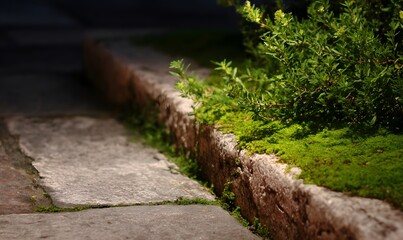 stone steps in the park, Generative AI