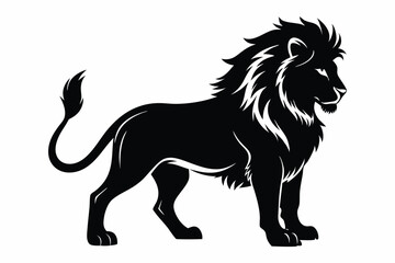 Majestic black lion with a thick mane gracefully stands against a white background