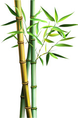 Vibrant Bamboo Shoots and Leaves Illustration