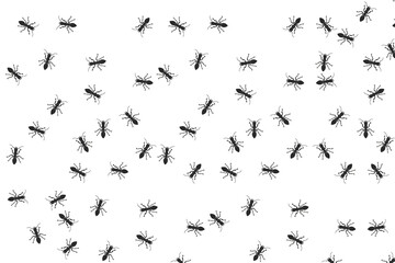 Set of ant Insect Insects ant ants emmet pismire banne.r Insect Insects ant ants emmet pismire banner Vector icon icons sign signs fun funny A line of worker workers ants marching search 