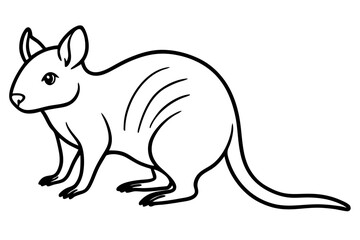 Simple Quokka Line Art