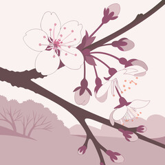 Pink cherry blossom tree branch vector illustration with floral design