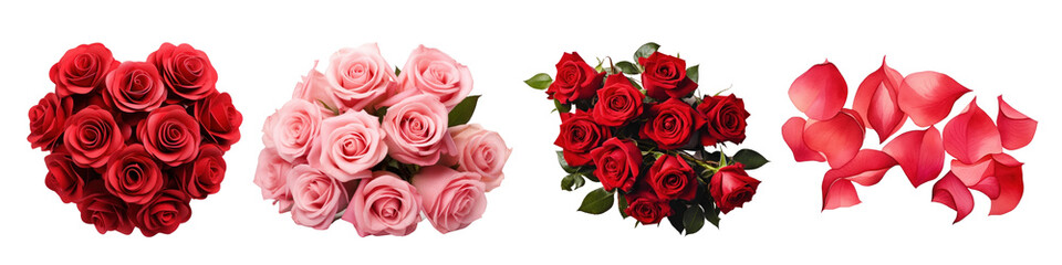 PNG Vibrant roses in elegant arrangements, element set on transparent background