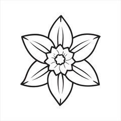 daffodil flower vector illustration