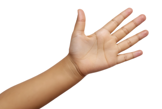 Open hand gesture isolated on white or transparent background