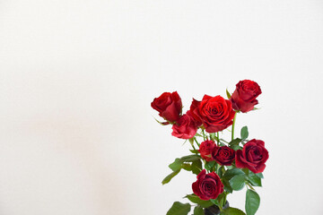 赤い薔薇