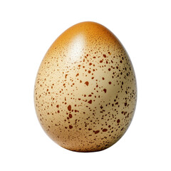 Brown Spotted Egg Isolated on White Background Perfect for Creative Culinary or Natural History Projects transparent background