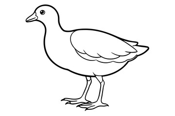 Stylized Moorhen Vector Art