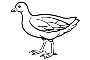 Fototapeta premium Stylized Moorhen Vector Art