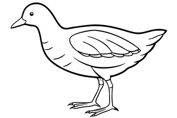Stylized Moorhen Vector Art