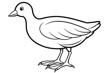 Stylized Moorhen Vector Art