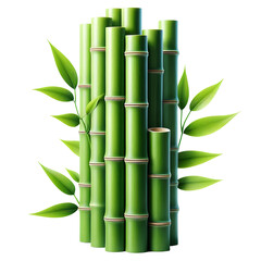Obraz premium Green Bamboo Stem With Leaves On White Background: Fresh Tropical Plant Illustration Featuring Tall Jointed Culm And Lush Foliage In A Clean Minimalist Style, isolated on white