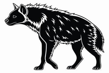 Black and white hyena strides confidently, displaying its characteristic fur pattern distinctly