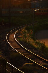 夏の夕暮れの残光に輝く線路