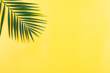 Vacation travel planning simple theme of palm leaves on uniform yellow background flat lay with copy-space