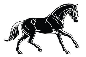 Elegant black horse with bridle prances, showcasing its muscular build and powerful stride