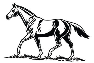 Graceful horse walking through the grass is captured in a black and white vector