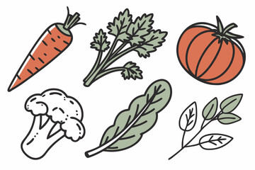 set of vegetables