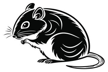 Isolated wood mouse with a unique black and white pattern sits alertly
