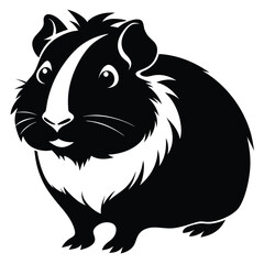Monochrome guinea pig with white facial stripe looks forward in a simple, clean style