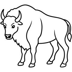 Woodland Bison Minimalist Line Illustration