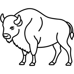 Woodland Bison Minimalist Line Illustration