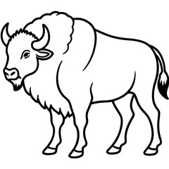 Woodland Bison Minimalist Line Illustration