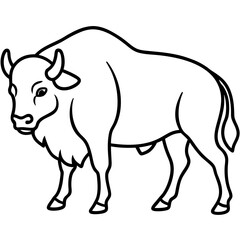 Woodland Bison Minimalist Line Illustration