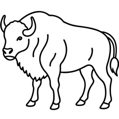 Woodland Bison Minimalist Line Illustration