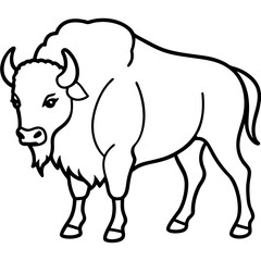 Woodland Bison Minimalist Line Illustration