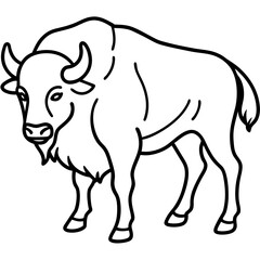 Woodland Bison Minimalist Line Illustration