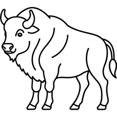 Woodland Bison Minimalist Line Illustration