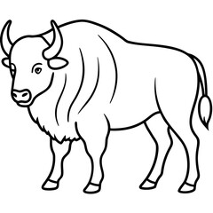 Woodland Bison Minimalist Line Illustration