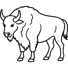 Woodland Bison Minimalist Line Illustration