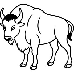 Woodland Bison Minimalist Line Illustration