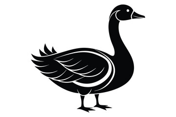 Black swan stands gracefully, its elegant form rendered in sharp simplicity