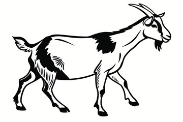 Black and white illustration shows a goat walking to the right side on white