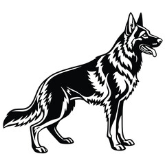 Sleek shows a majestic black German shepherd standing guard with strong gaze