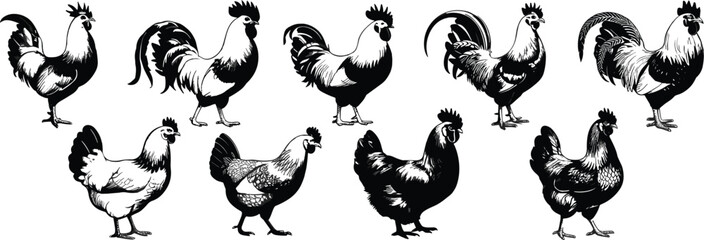 Rooster and Hen Farm Animal Silhouettes, Featuring Various Chicken Breeds and Poses for Agriculture, Livestock, and Rural Designs © Su Joy Creatives