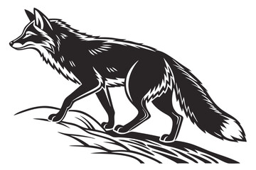 Striking silhouette shows a fox gracefully walking through tall, textured grass with confidence