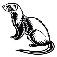 Black and white ferret illustration is sitting in side profile view on the ground