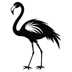A striking flamingo in solid black stands against a stark white background