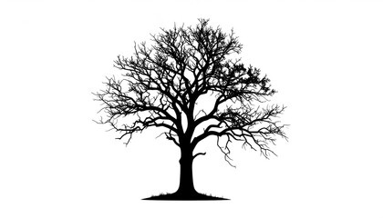 Twisted, lifeless tree in silhouette style, dramatic branch patterns on a white background.