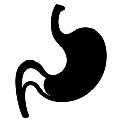 vector illustration of a black swan