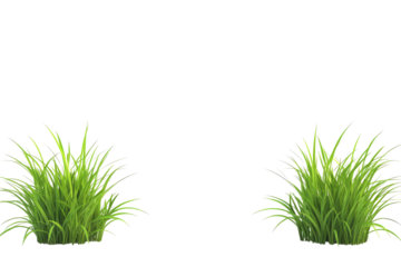 Two vibrant clumps of green grass