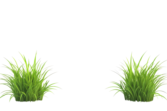 Two vibrant clumps of green grass