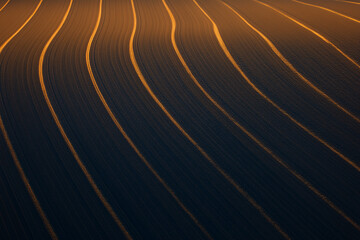 Wavy lines of freshly plowed soil reflect warm golden light during twilight. Field with rhythmic patterns creates tranquil atmosphere. Concept of agriculture, farming, landscape design