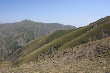 vineyard in the mountains