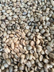 Raw coffee beans being dried in the sun