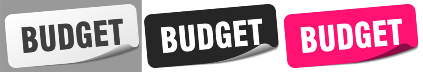 budget sticker. budget sticker set on white background